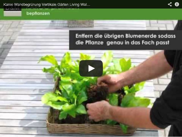 Living Wall Indoor und Outdoor