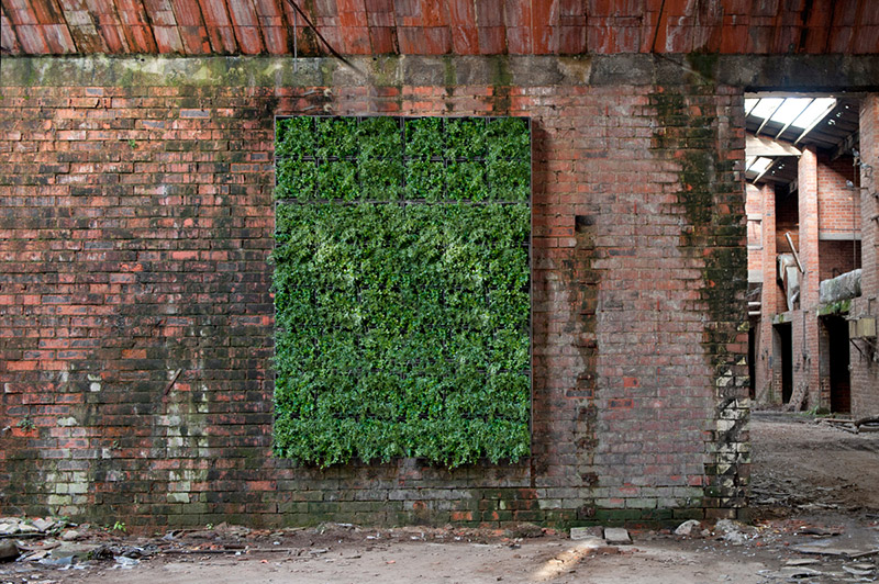 Wandbegrünung Design Idee sehr gut getestet Vertikaler Garten indoor outdoor
