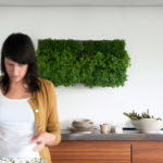 Wandbegrünung Design Idee sehr gut getestet Vertikaler Garten indoor outdoor 