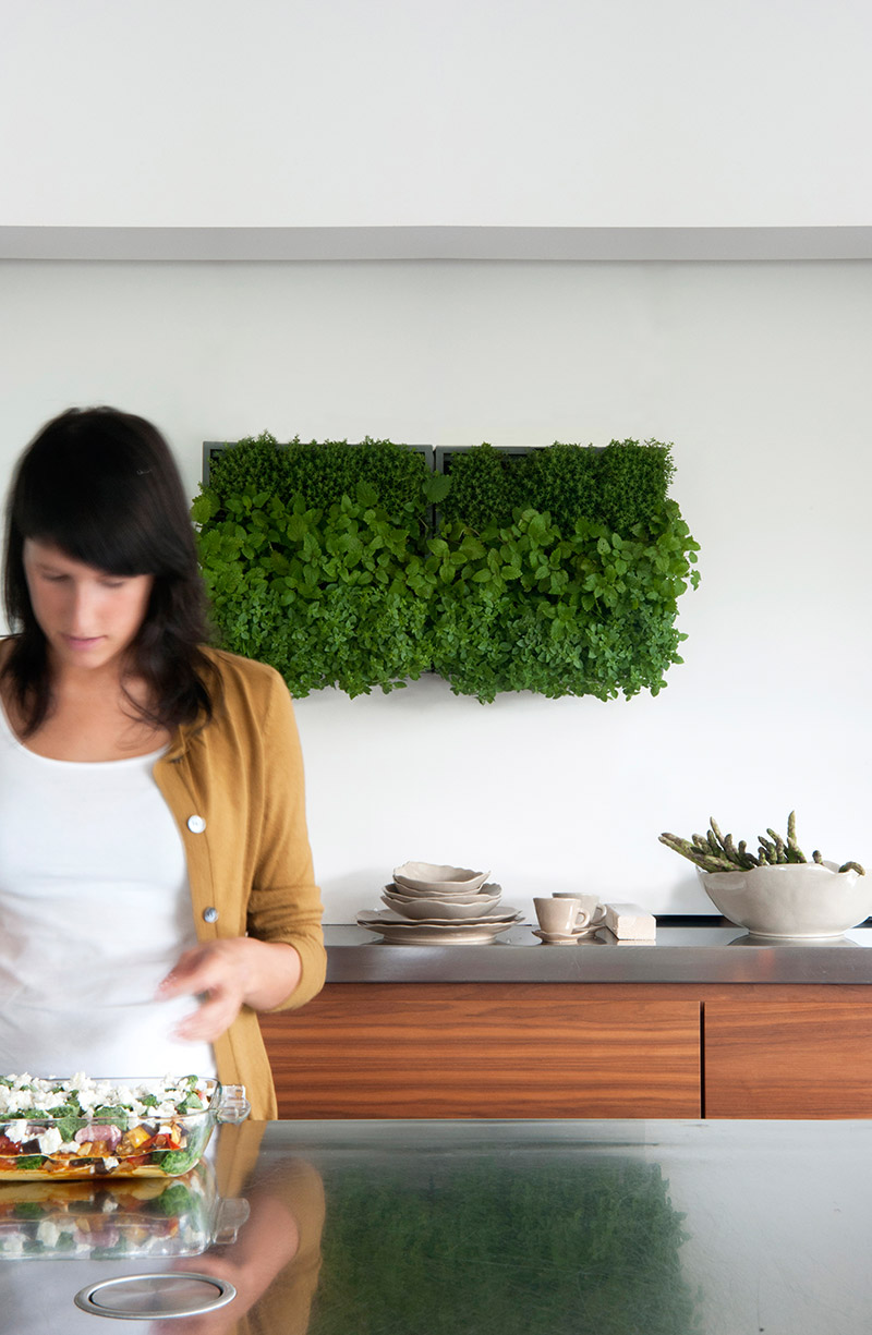 Wandbegrünung Design Idee sehr gut getestet Vertikaler Garten indoor outdoor