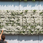 Wandbegrünung Design Idee sehr gut getestet Vertikaler Garten indoor outdoor 