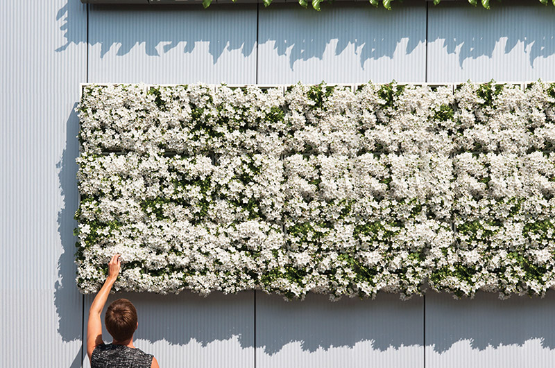 Wandbegrünung Design Idee sehr gut getestet Vertikaler Garten indoor outdoor