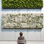 Wandbegrünung Design Idee sehr gut getestet Vertikaler Garten indoor outdoor 