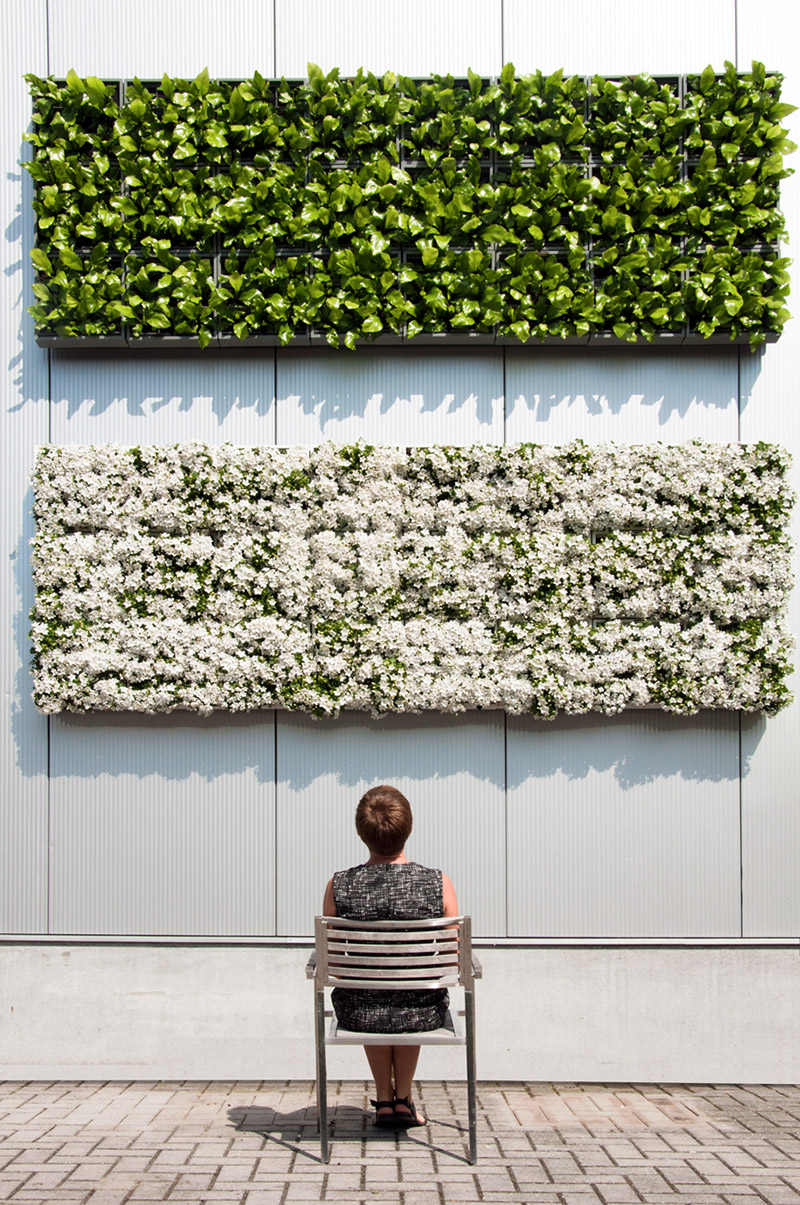 Wandbegrünung Design Idee sehr gut getestet Vertikaler Garten indoor outdoor