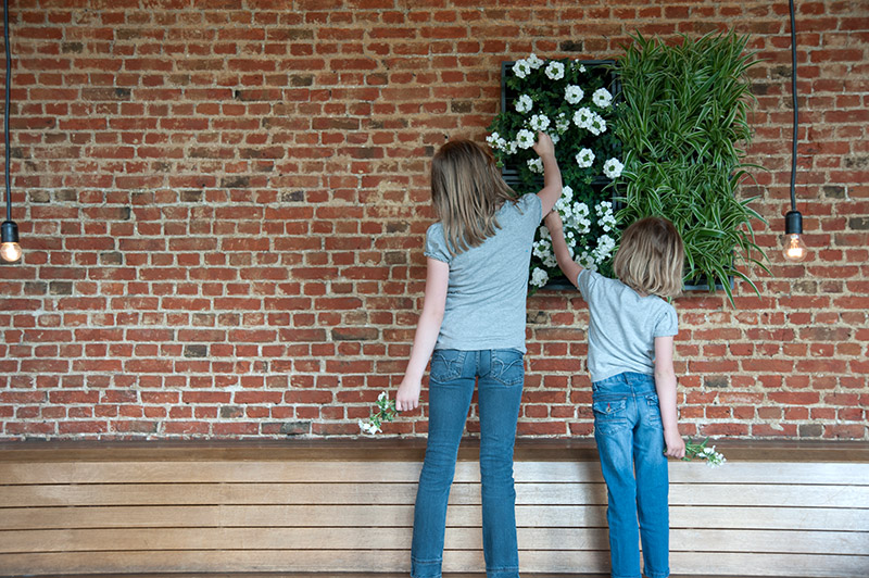 Wandbegrünung Design Idee sehr gut getestet Vertikaler Garten indoor outdoor