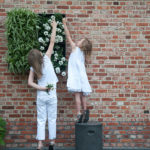 Wandbegrünung Design Idee sehr gut getestet Vertikaler Garten indoor outdoor 