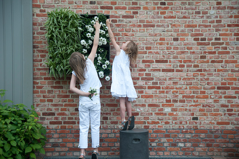 Wandbegrünung Design Idee sehr gut getestet Vertikaler Garten indoor outdoor