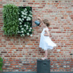 Wandbegrünung Design Idee sehr gut getestet Vertikaler Garten indoor outdoor 